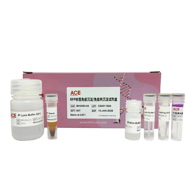 Magneti-G RFP 标签免疫沉淀/免疫共沉淀试剂盒
