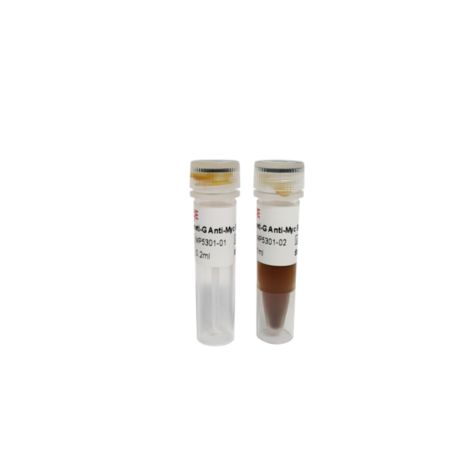 Magneti-G Anti-Myc Beads