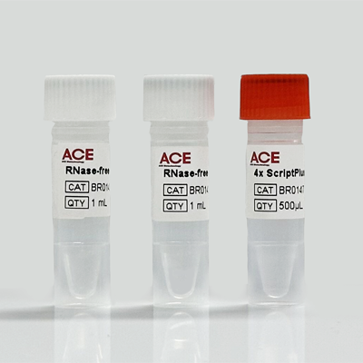 ScriptPlus RT Mix for qPCR