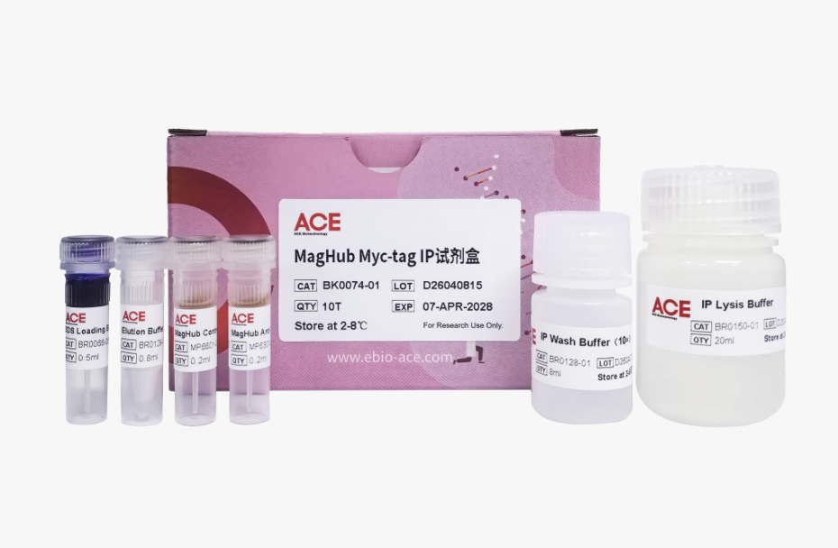 MagHub Myc-tag IP试剂盒