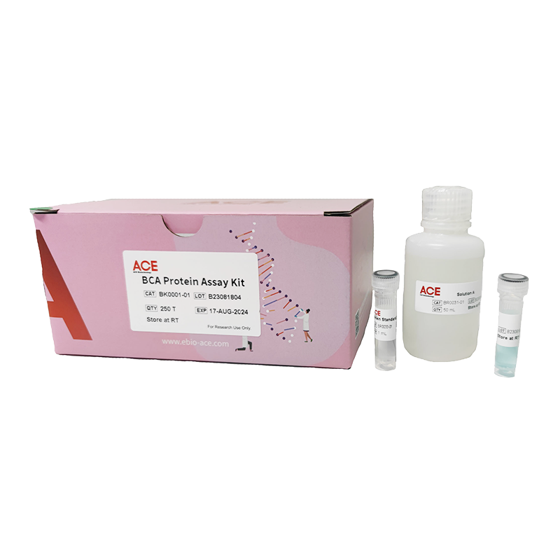 BCA Protein Assay Kit