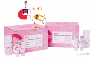 干货分享 | 答疑解惑—ACE免疫沉淀/免疫共沉淀试剂盒插图