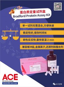 新品上市 | 蛋白质定量试剂盒插图6