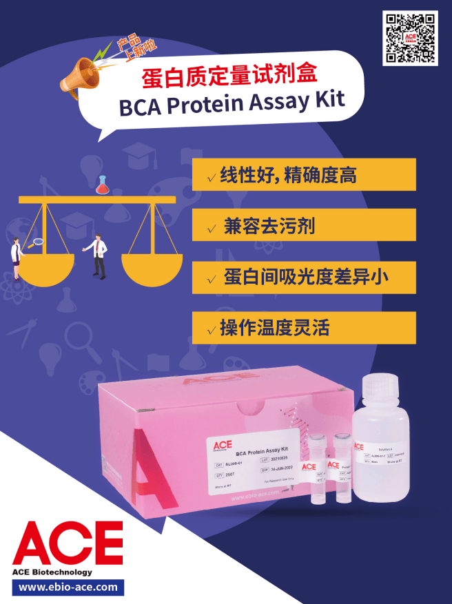 ACE产品介绍 | BCA Protein Assay Kit插图3