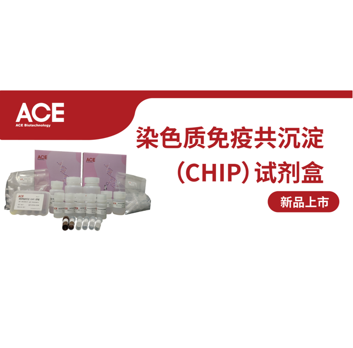 ACE产品介绍 | 染色质免疫共沉淀（CHIP）试剂盒缩略图