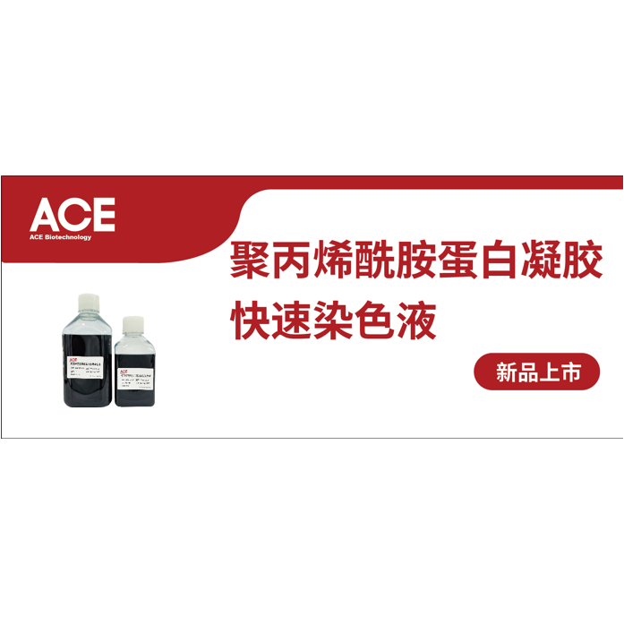 ACE产品介绍 | 聚丙烯酰胺蛋白凝胶快速染色缩略图